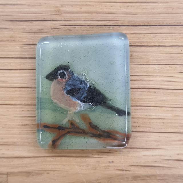 Bullfinch glass enamel badge 