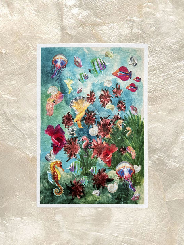Carte AQUA DI RIO