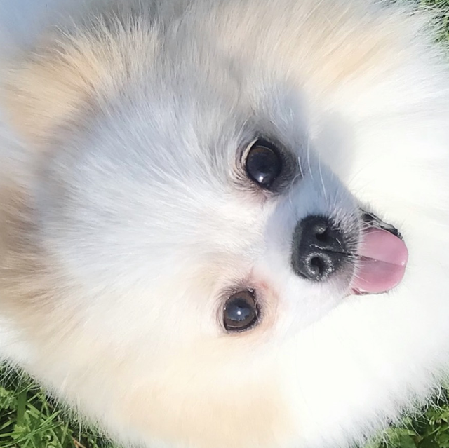 9)Kids Party Package Cuddles &amp; Wellness 2 hour