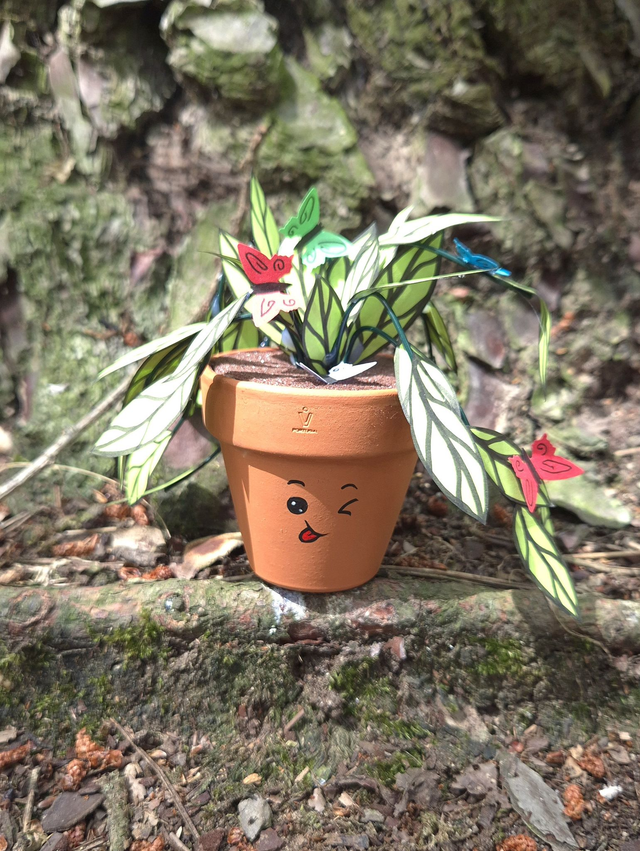 Baby plante "Emoji clin d'œil "