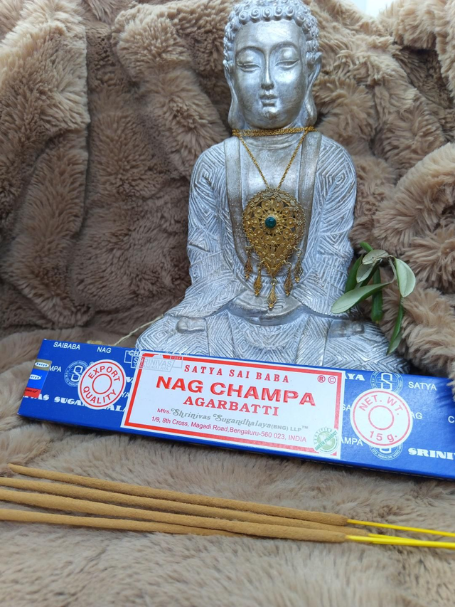 Encens SATYA "Nag Champa"