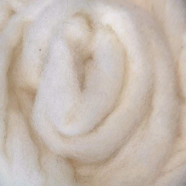 Weißköpfiges Fleischschaf