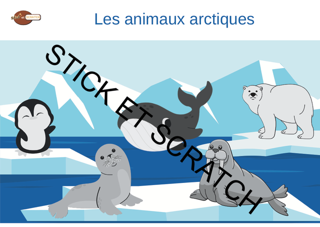 Animaux arctique