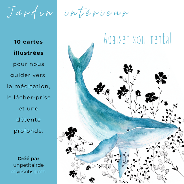 Jardin intérieur "Apaiser son mental" 