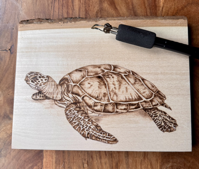 Sunday 24th May All day Turtle Pyrography Workshop at A Touch of Craft