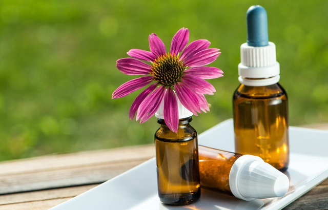 27.-PREPARADO FLORES DE BACH (patrón Natal de Nuevo Método Integrativo) (NO PRESENCIAL)