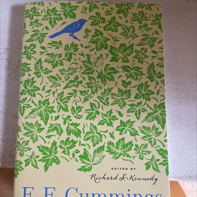 Selected Poems E E Cummings