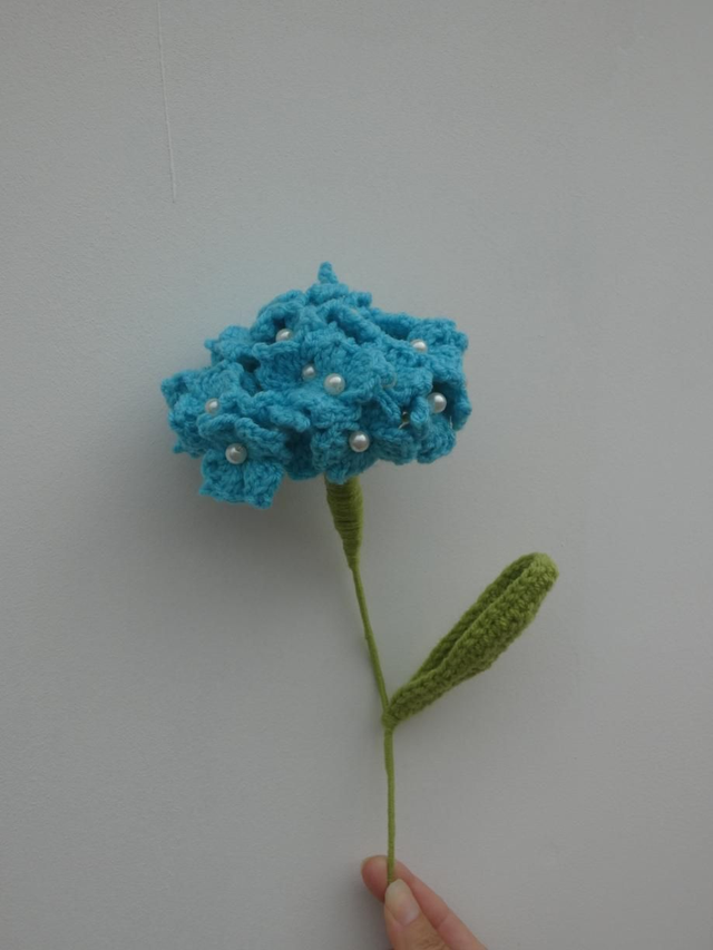 Hortensia bleu ciel 