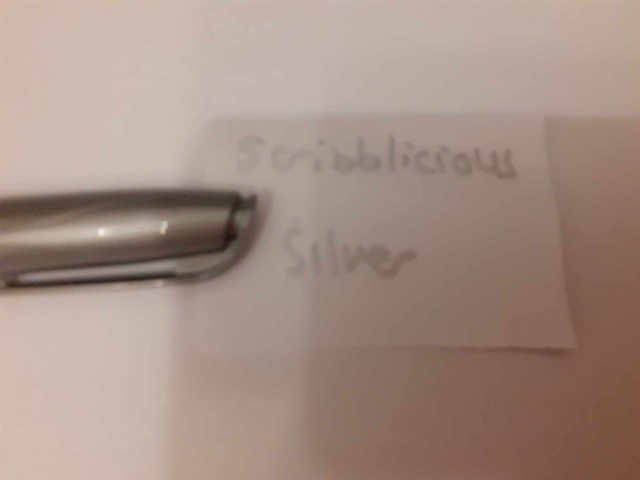 Zelebs in shed CHOOSE YOUR MARKER Scribblicious SILVER