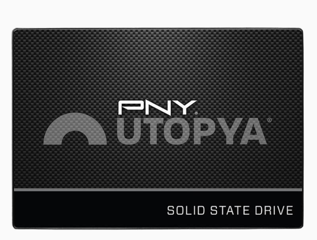 Disc dur - PNY SSD SATA 2.5'' CS900 (500Go)