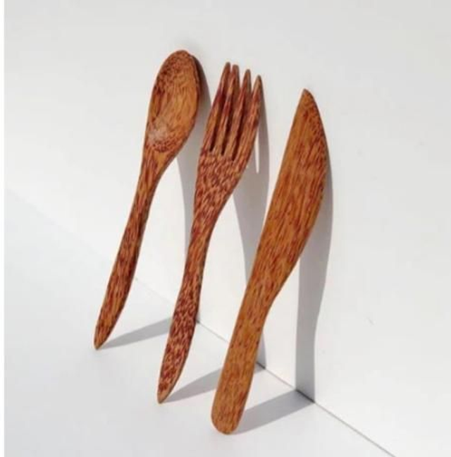 Coconut wood cutlery set