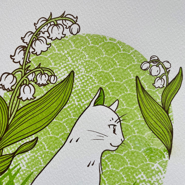 Seasons and colours - Asatsuyu (Limited edition)