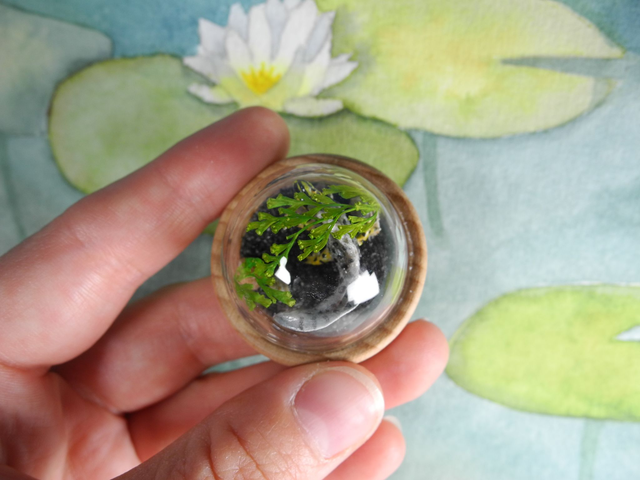 Not so smooth now - Among the lilypads - Miniature diorama Jewelry - Clear glass dome with delicate handmade smooth newt – animal jewelry