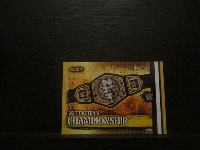 NXT Tag Team Championship - Championship Slam Attax 10th Edition Original Trading Card #356