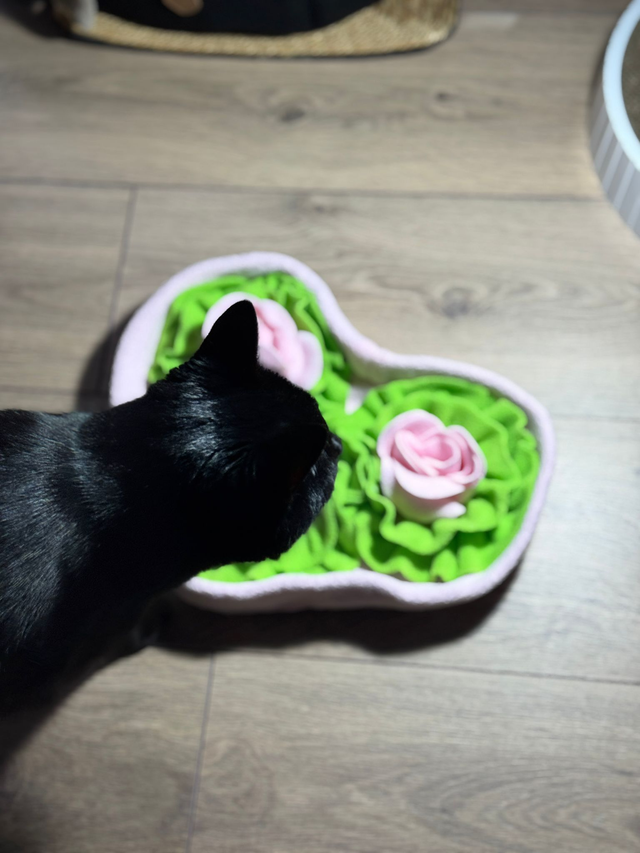 Tapis de fouille cœur Rose