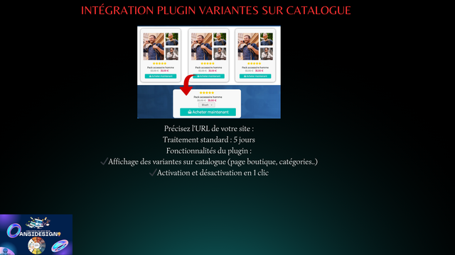 Intégration plugin variantes sur catalogue