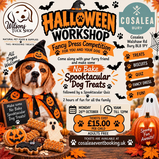 Halloween Workshop At Cosalea  Monday 26th October 