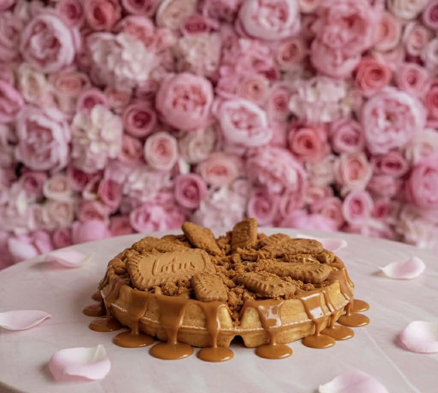 Lotus Biscoff (American Waffle)