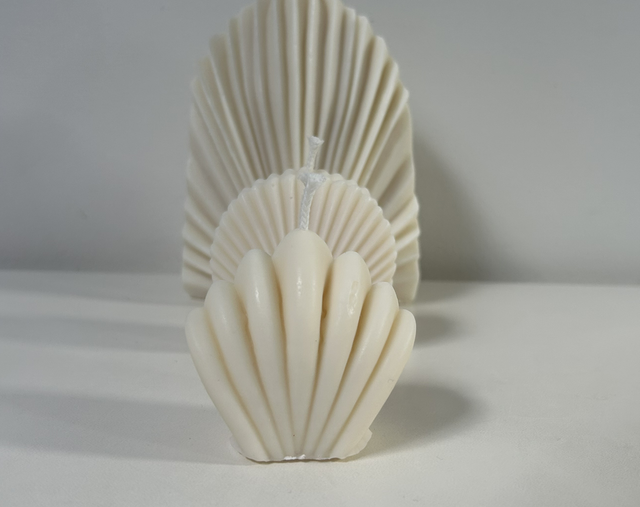 Bougie coquillage 1