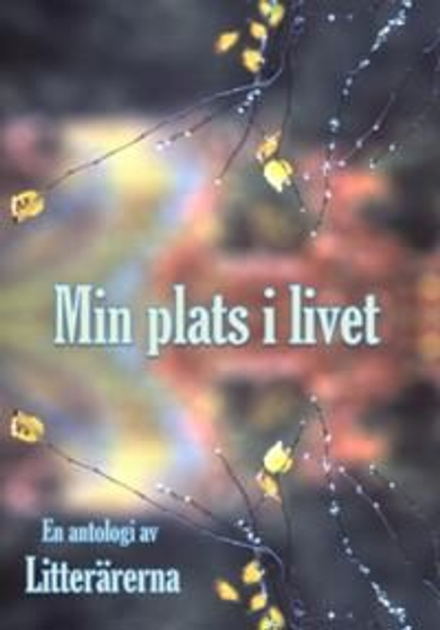 Min plats i livet