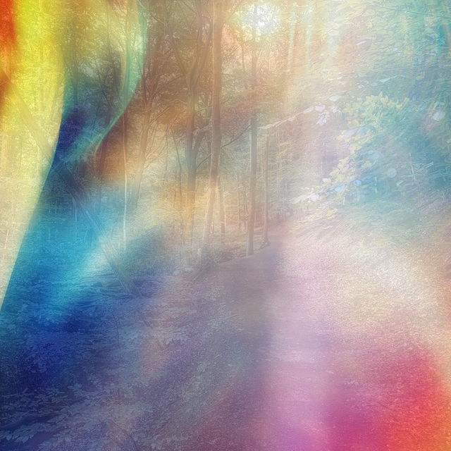 16.07.2025 Waldbaden & Meditation im Schwerter Wald