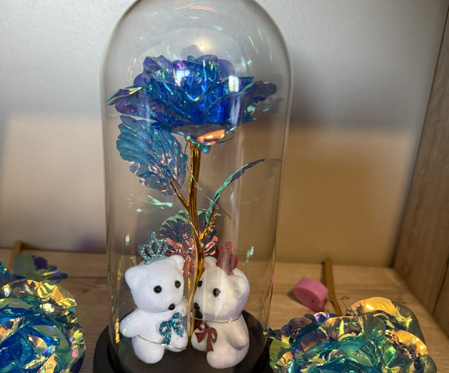 Rose moyenne deux nounours 