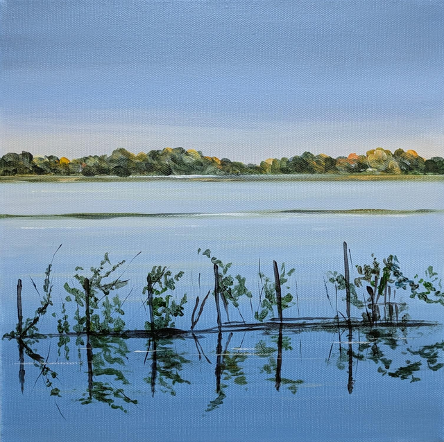 Frensham little pond