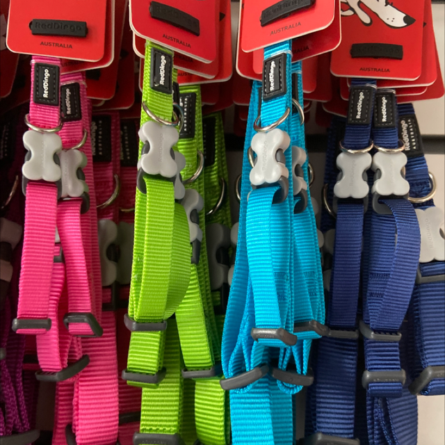 RedDingo Plain Collar - Large