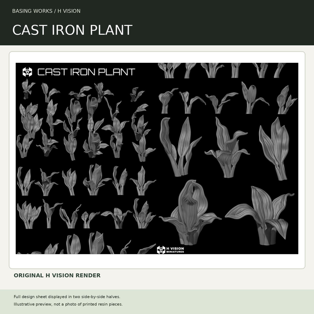H Vision - Cast Iron Plant