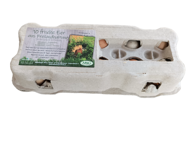 Hühnereier 10er Karton
