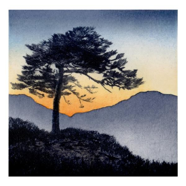 'High Pine lV' cards x 3