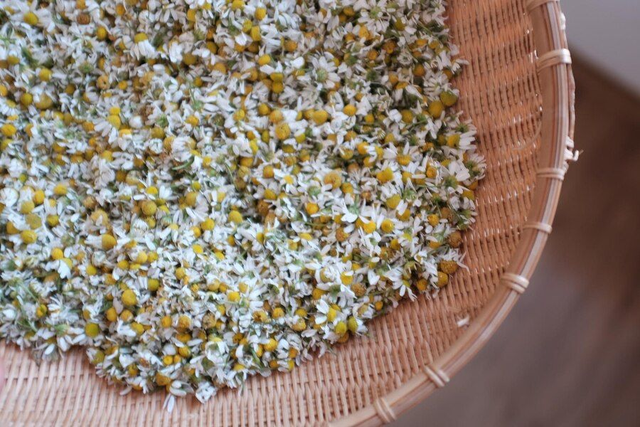 Camomille allemande (Matricaria chamomilla) sachet de fleur de 50 grammes