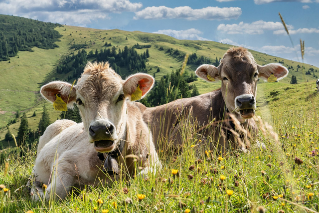 Mini Shooting 30 min