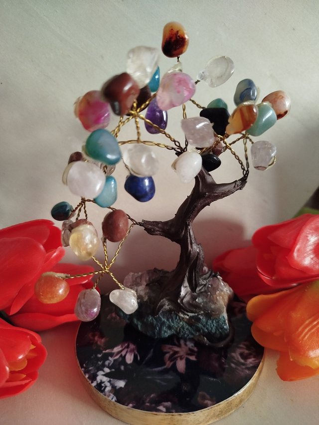 Arbre Multi Pierre