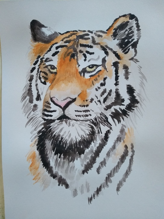 Aquarelle originale tigre