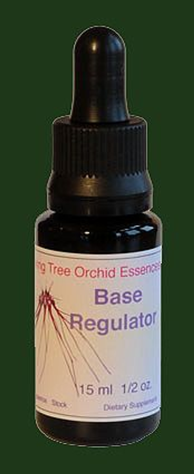 Base regulator Essence