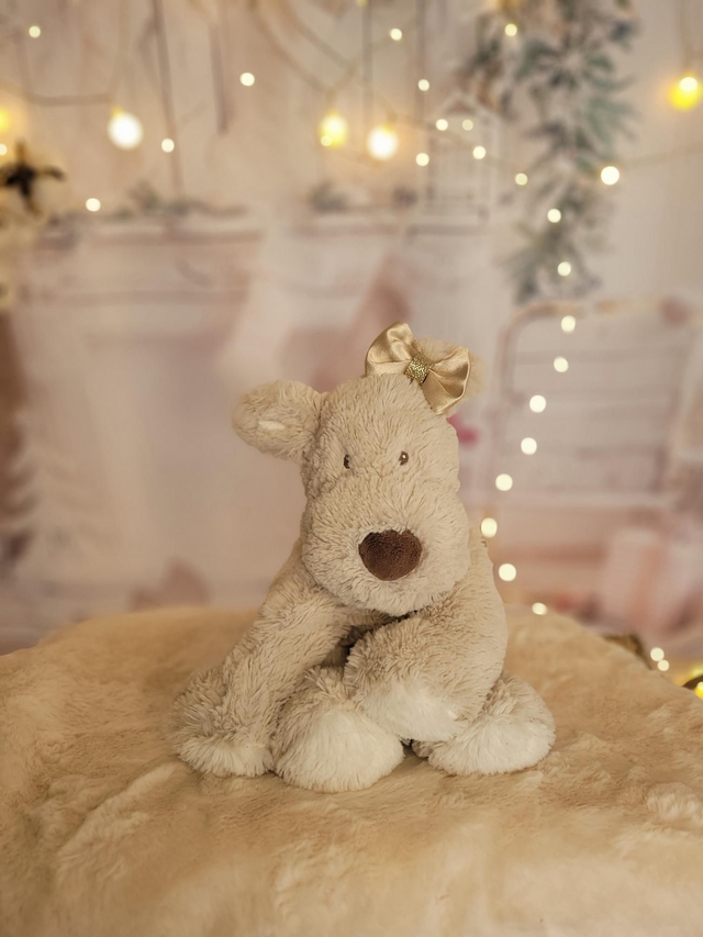 Grande barrette beige 🤎