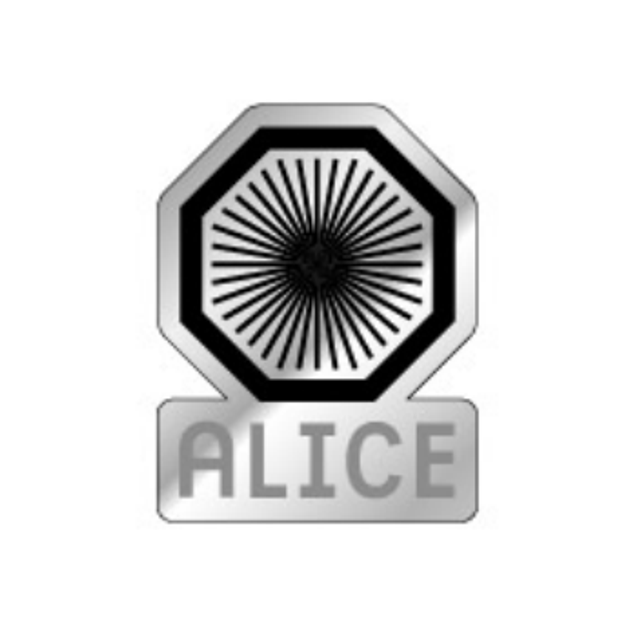 ALICE 2025 Pin