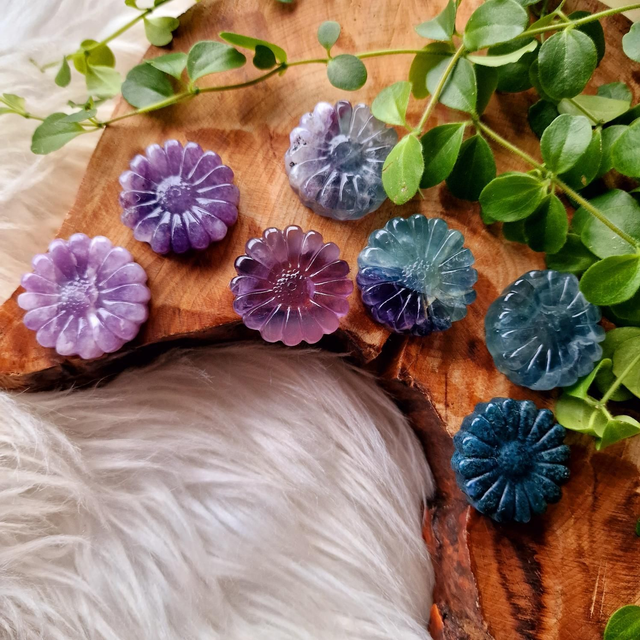 Daisy&#039;s Mixed Materials