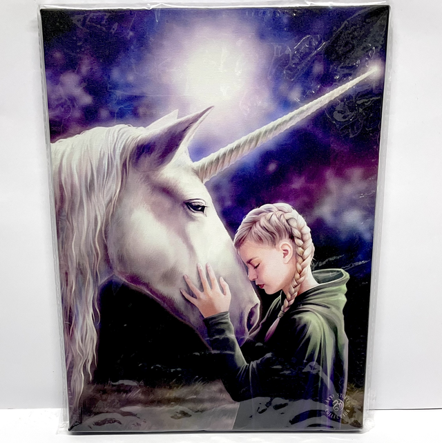 Anne Stokes Art - The Wish Hanging Canvas Print