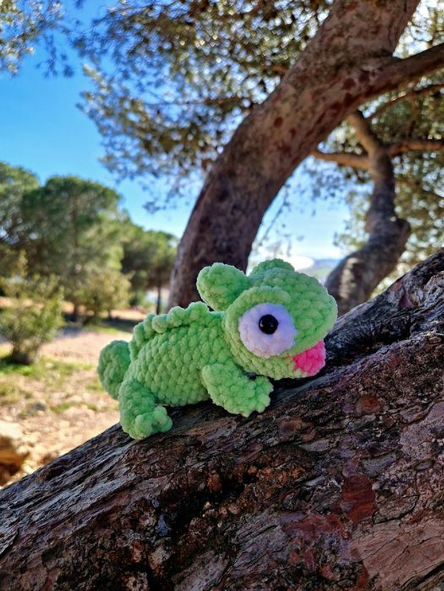 Pascal le Caméléon