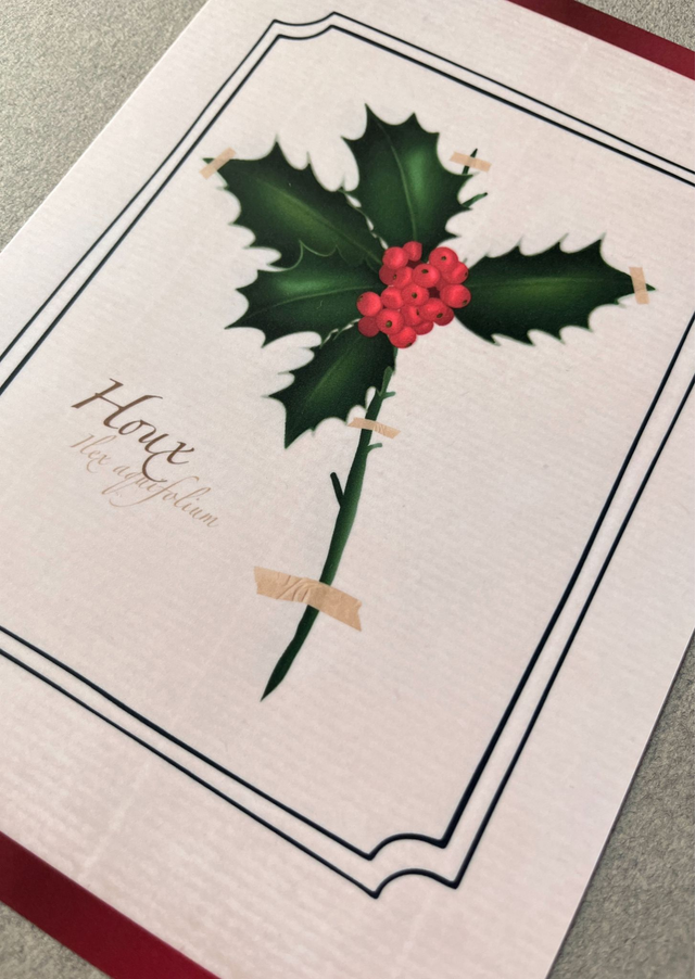 Affiche 12. Le Houx (décembre)