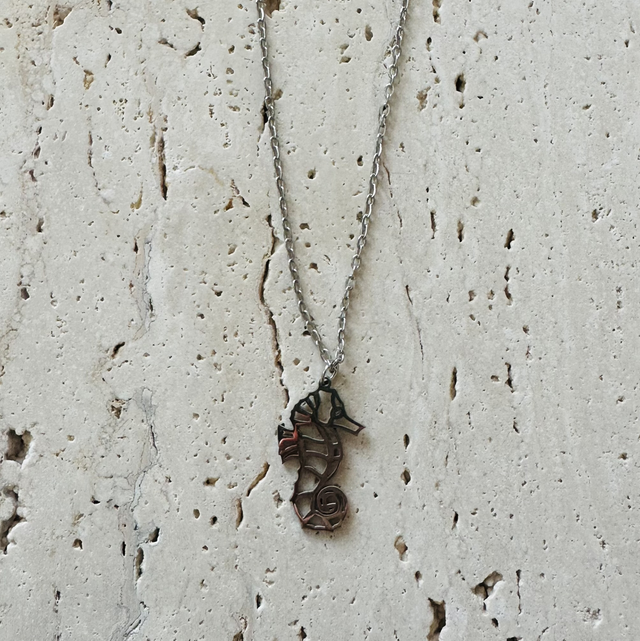 Ketting zeepaardje 