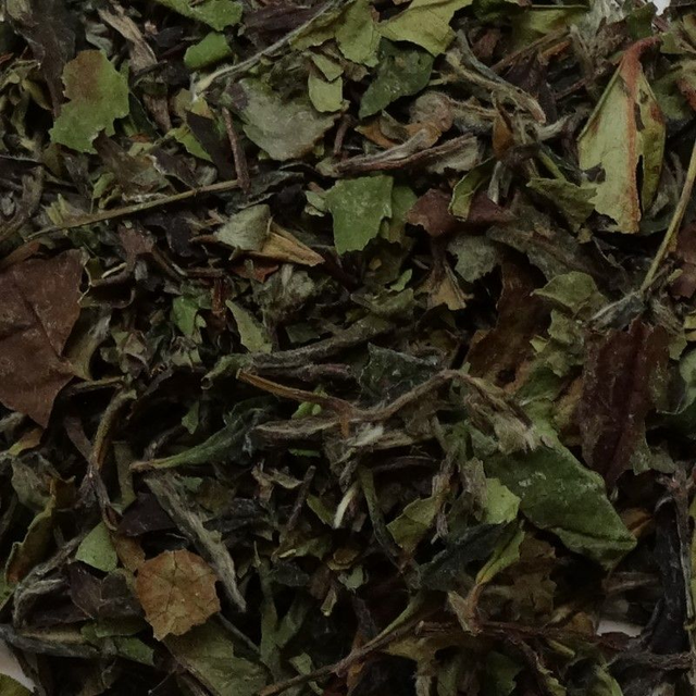 Bai Mu Dan - BIO