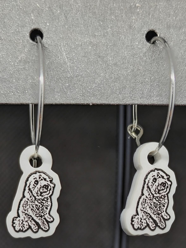 Cavapoo acrylic hyperallegenic 20mm wire hoops earrings