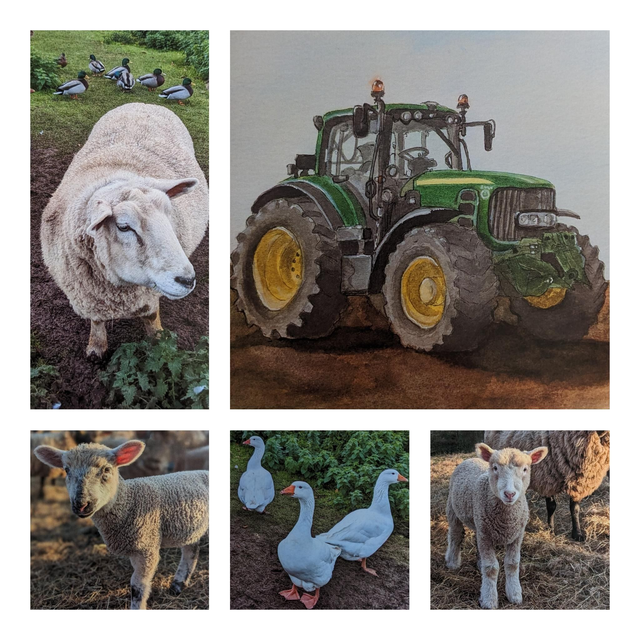 Farm Life Collection (pack of five cards)