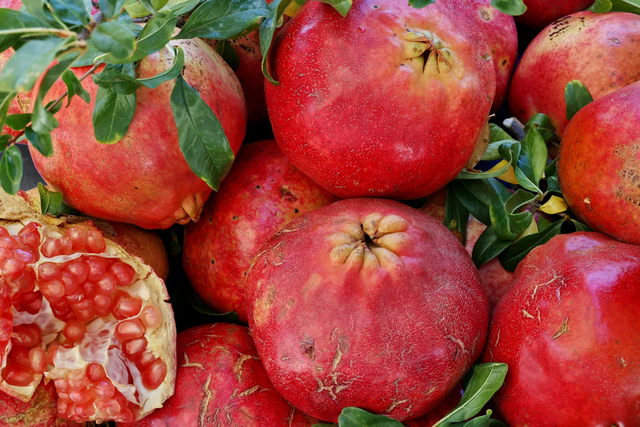 Granatäpfel II