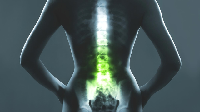 Seduta colonna vertebrale 