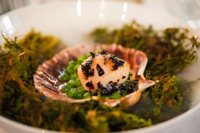 Alchemy at Urban Ground Supper Club