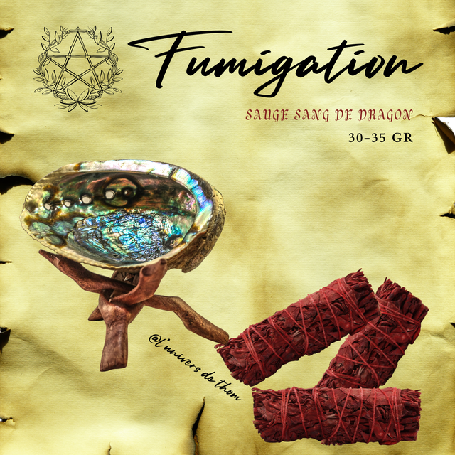 Sauge Sang de Dragon ficelle 30-35g
